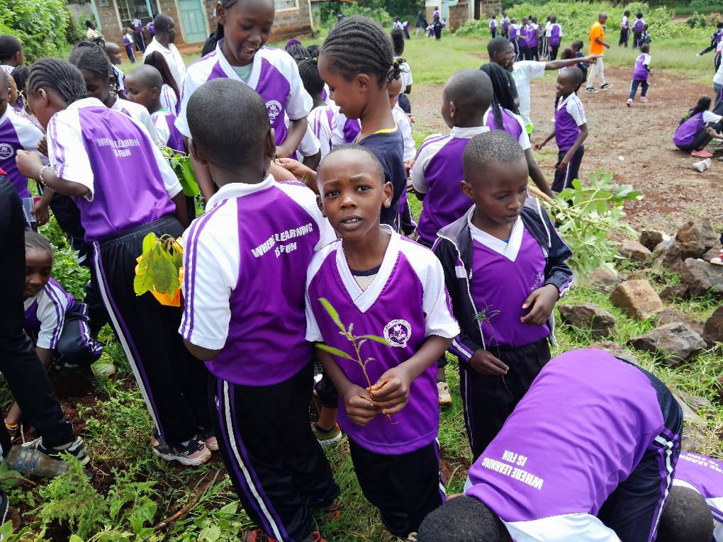 Mobirise Website Builder