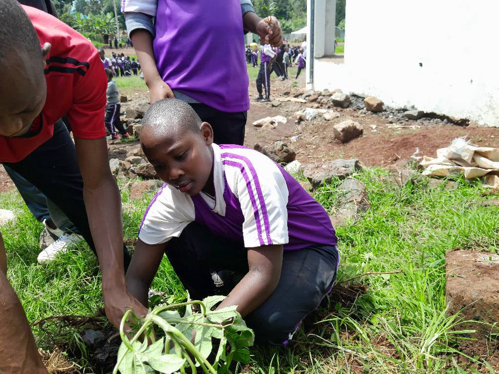 Mobirise Website Builder